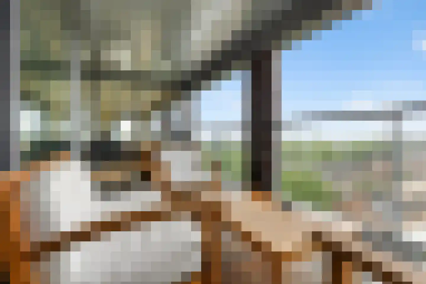 Disselhof 176 Apeldoorn thumbnail 30