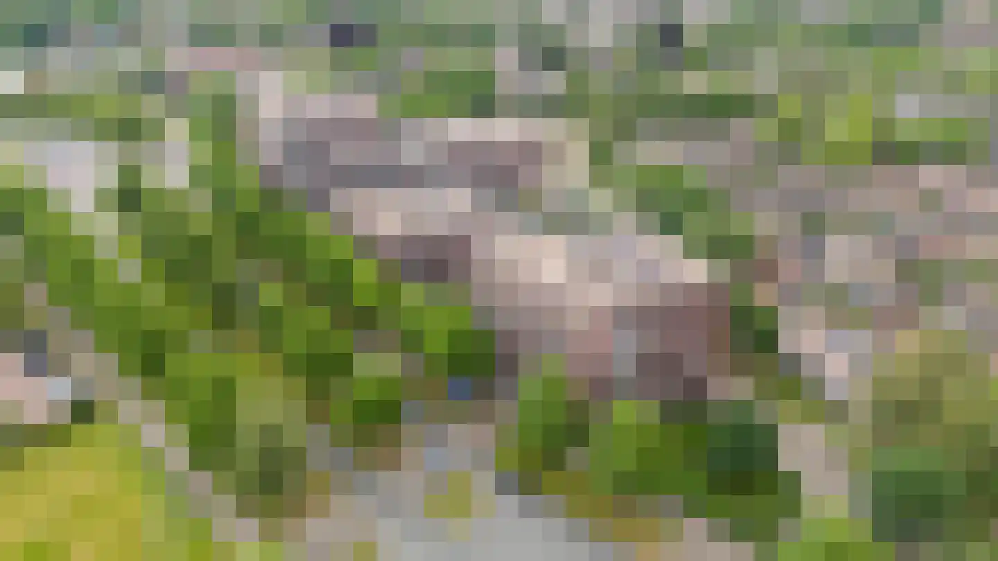 Disselhof 176 Apeldoorn thumbnail 57