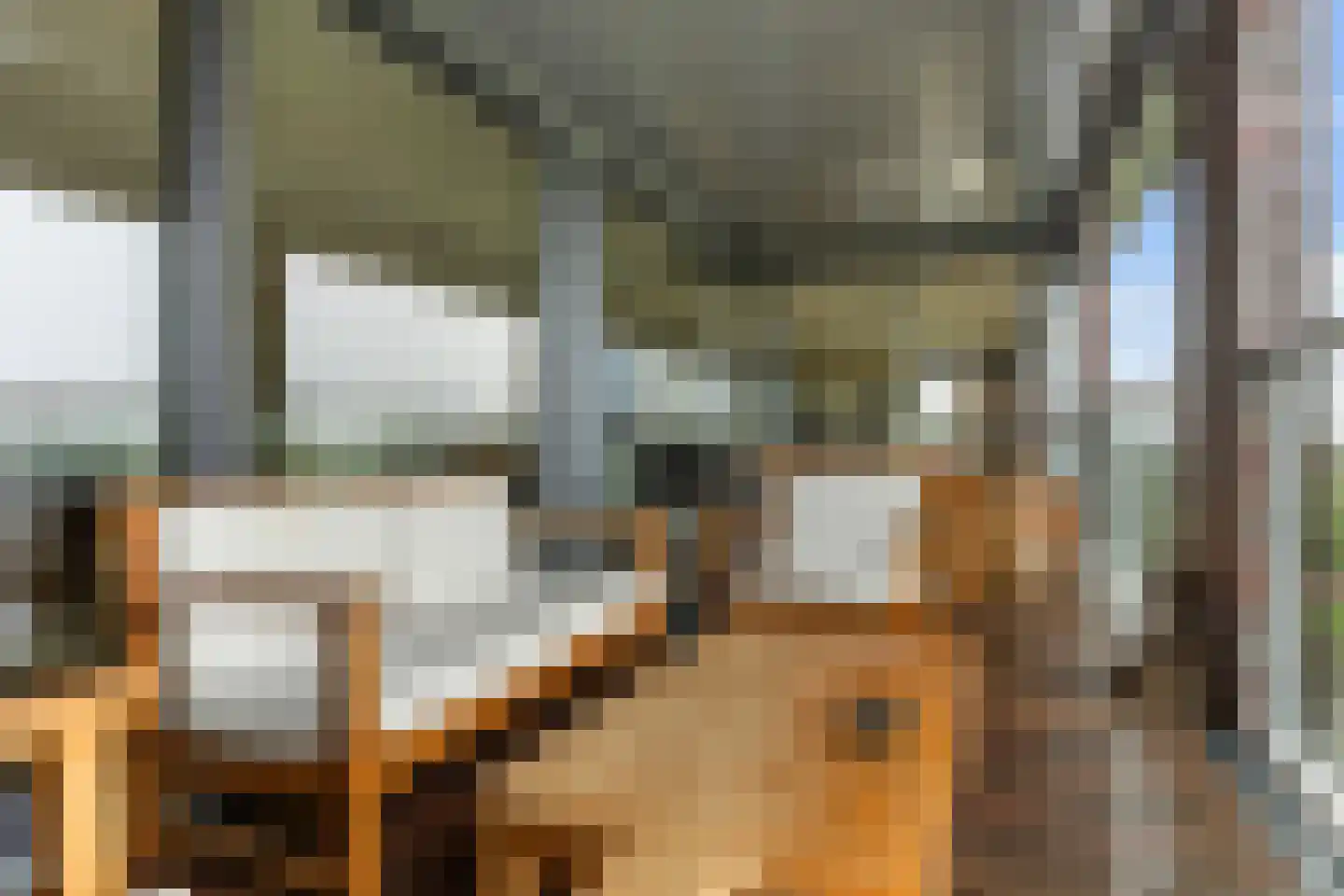 Disselhof 176 Apeldoorn thumbnail 6