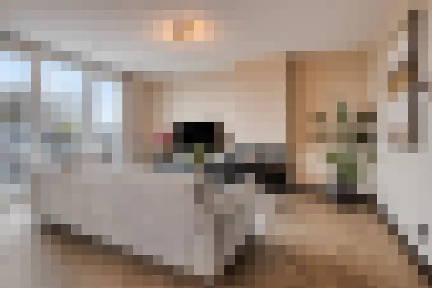 Disselhof 21 Horst thumbnail 15