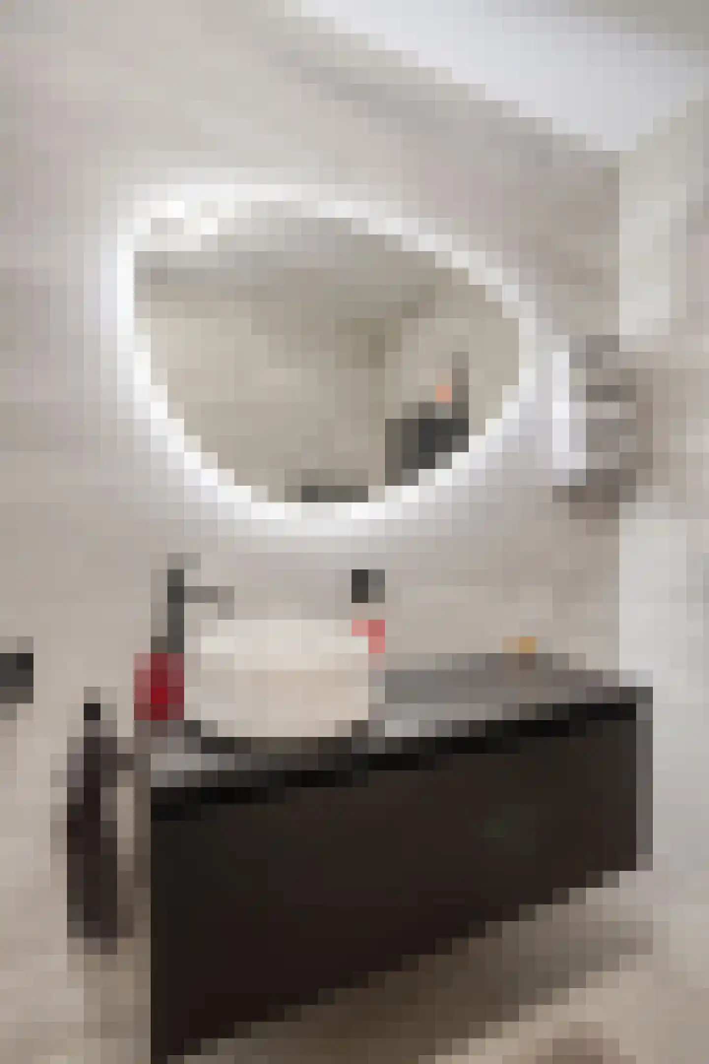 Disselhof 21 Horst thumbnail 22