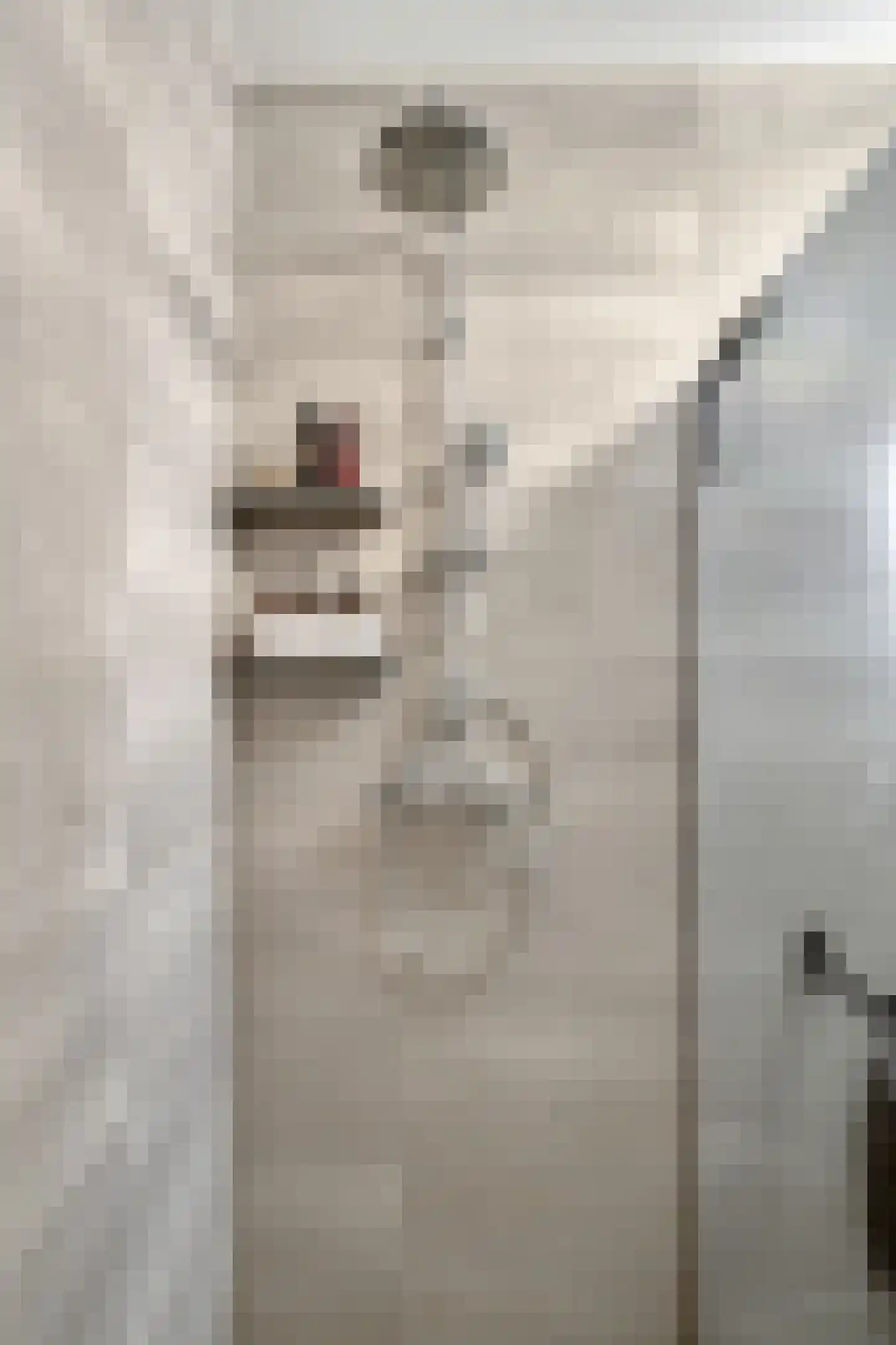 Disselhof 21 Horst thumbnail 23