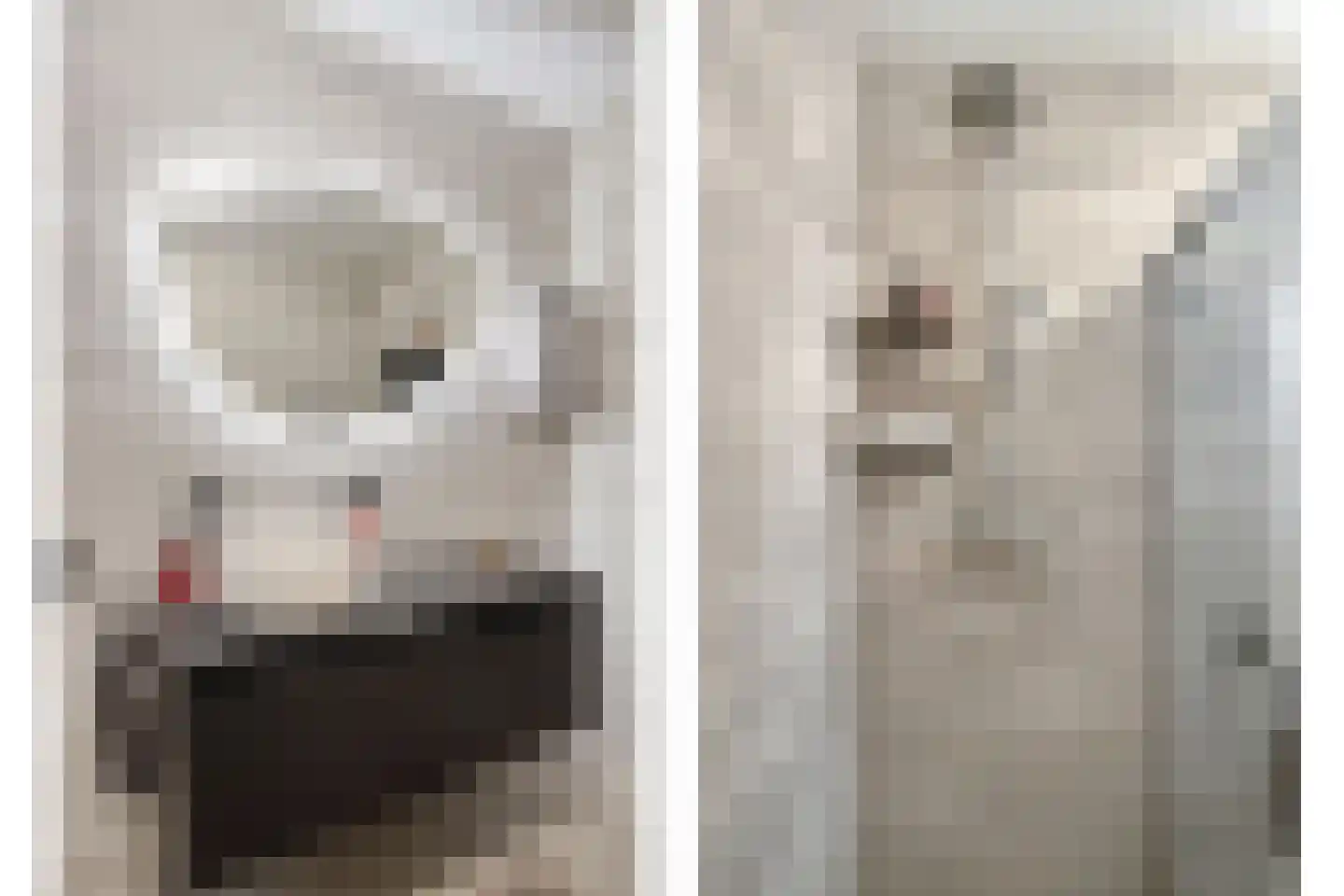 Disselhof 21 Horst thumbnail 32