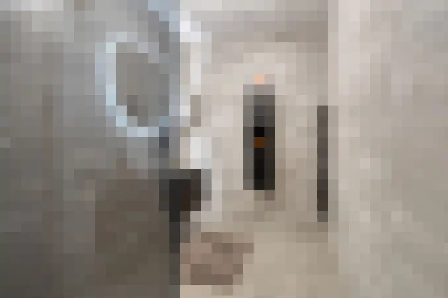 Disselhof 21 Horst thumbnail 6