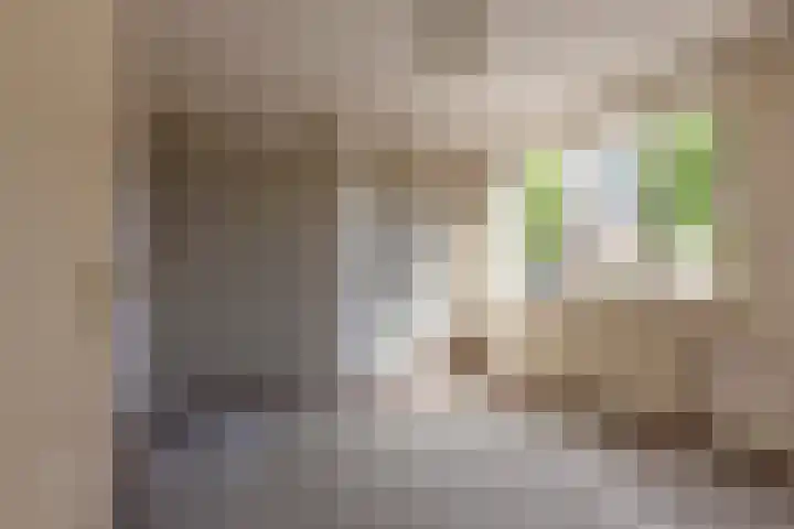 Disselhof 4 Heerlen thumbnail 10