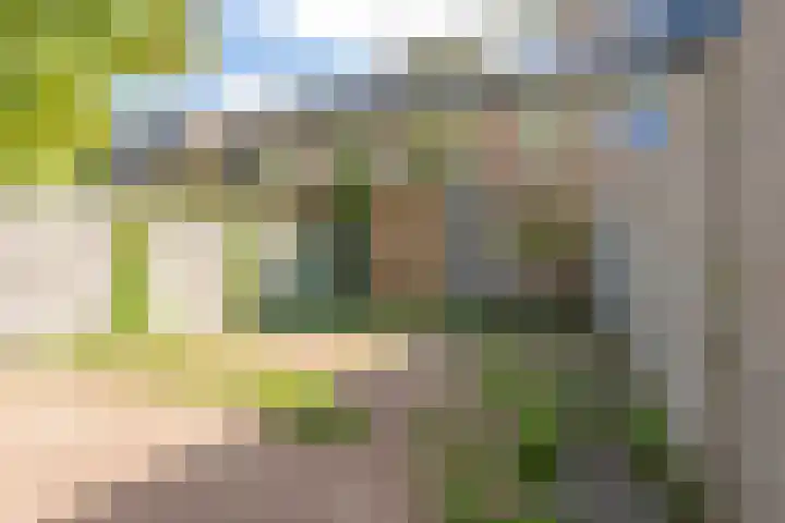 Disselhof 4 Heerlen thumbnail 19