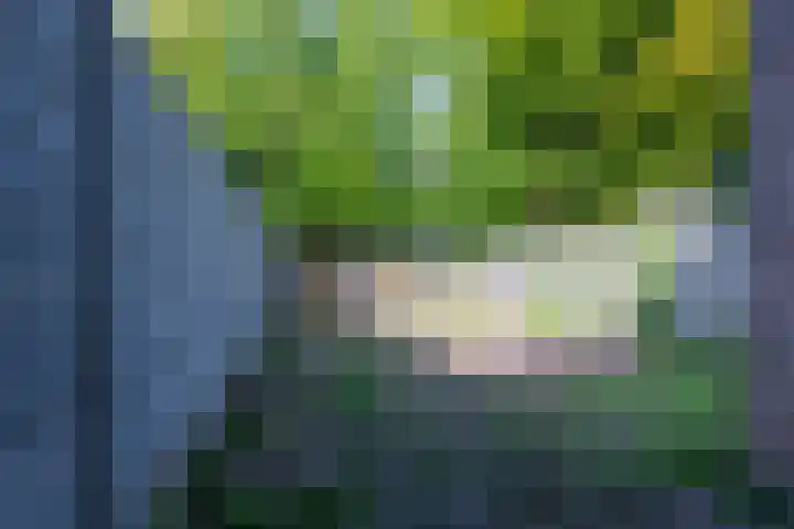 Disselhof 4 Heerlen thumbnail 20