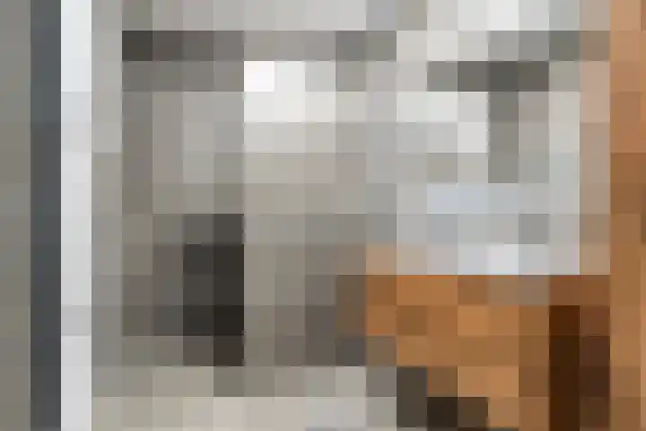 Disselhof 4 Horst thumbnail 11