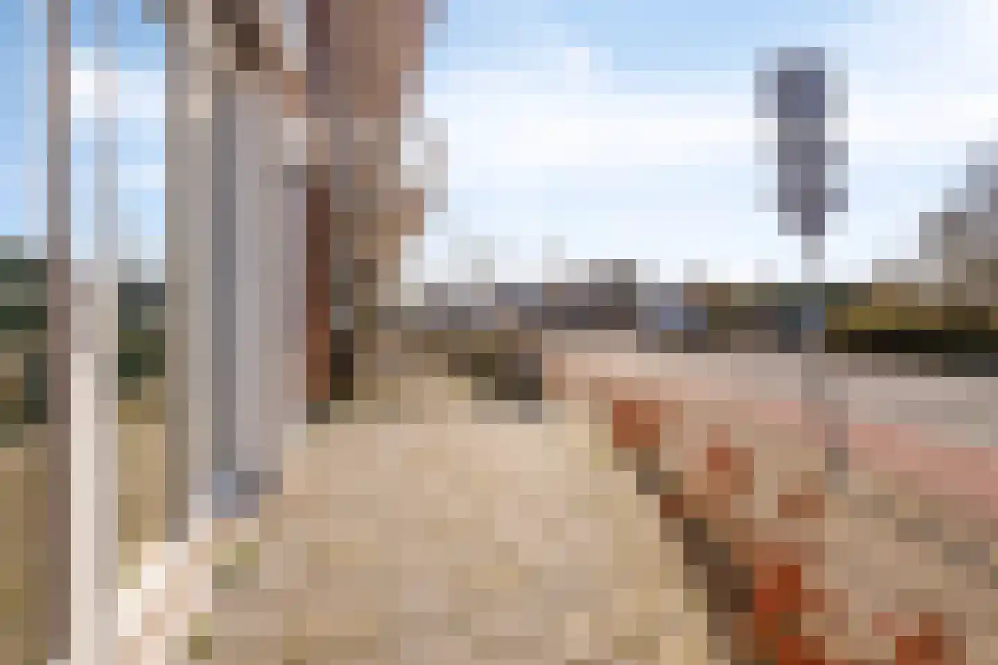 Disselhof 4 Horst thumbnail 42