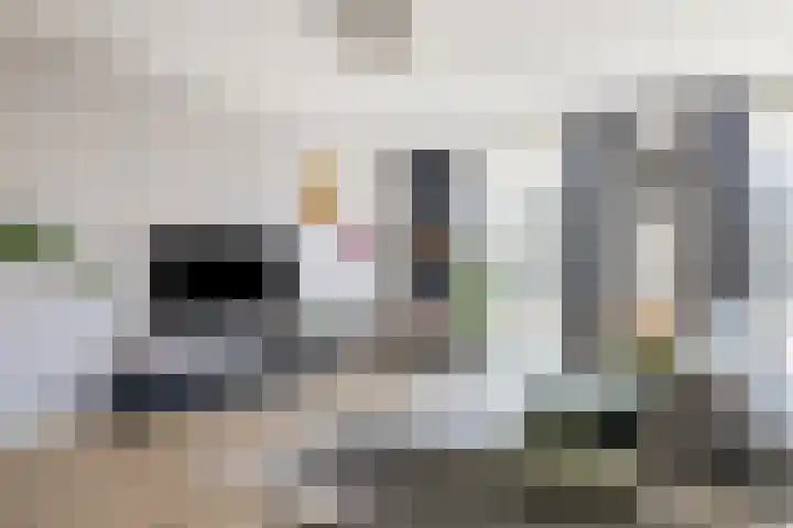 Disselhof 4 Horst thumbnail 5