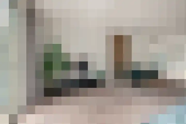 Disselkade 5 Haarlem thumbnail 11