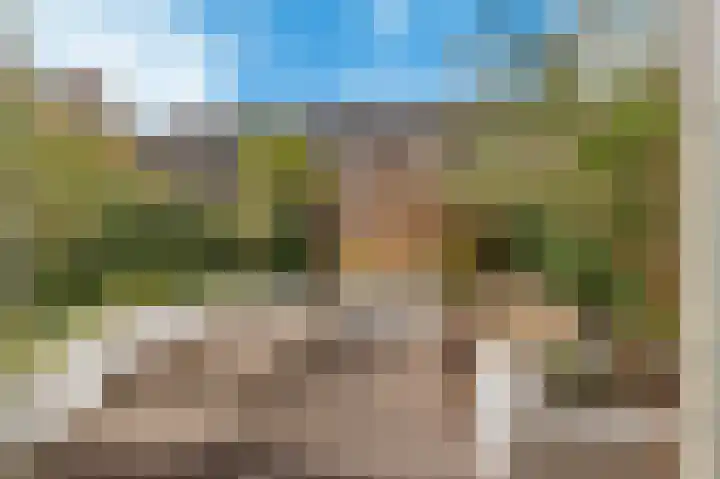 Disselkade 5 Haarlem thumbnail 22