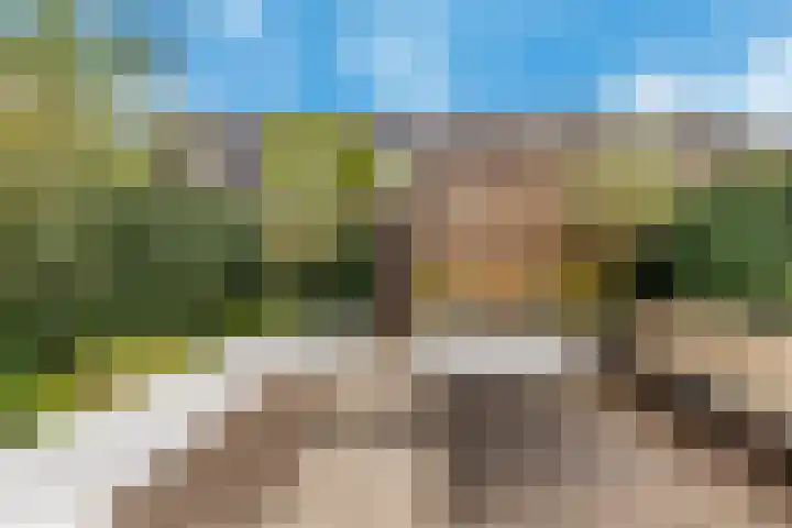 Disselkade 5 Haarlem thumbnail 23