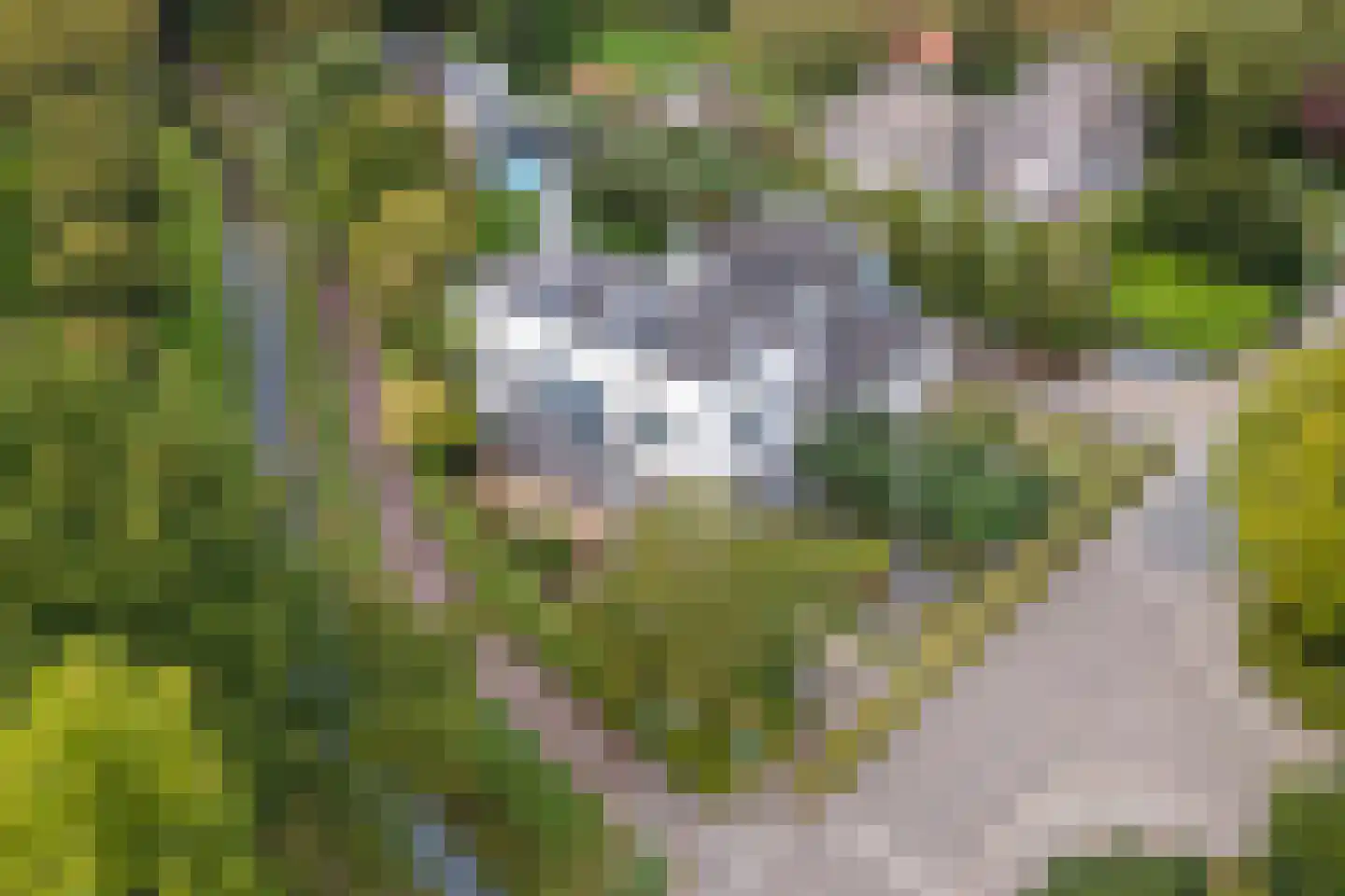 Disselkade 5 Haarlem thumbnail 32