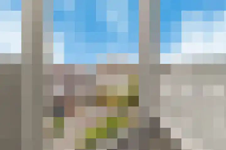 Disselkade 5 Haarlem thumbnail 43
