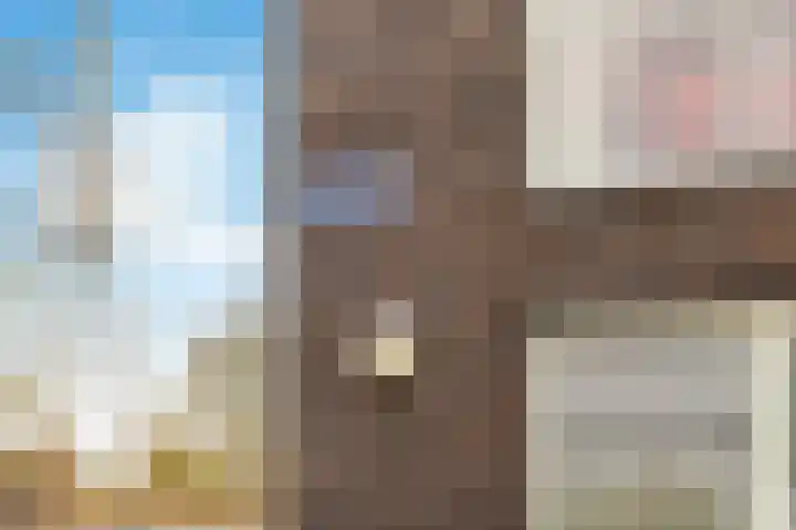 Disselkade 5 Haarlem thumbnail 6