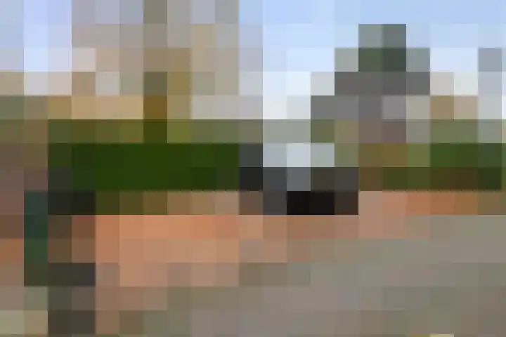 Disselkade 5 Haarlem thumbnail 9