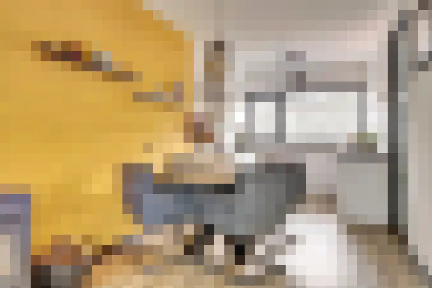 Disselsjeesdrift 2 Nieuwegein thumbnail 16