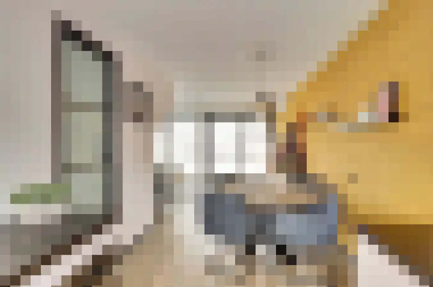 Disselsjeesdrift 2 Nieuwegein thumbnail 17