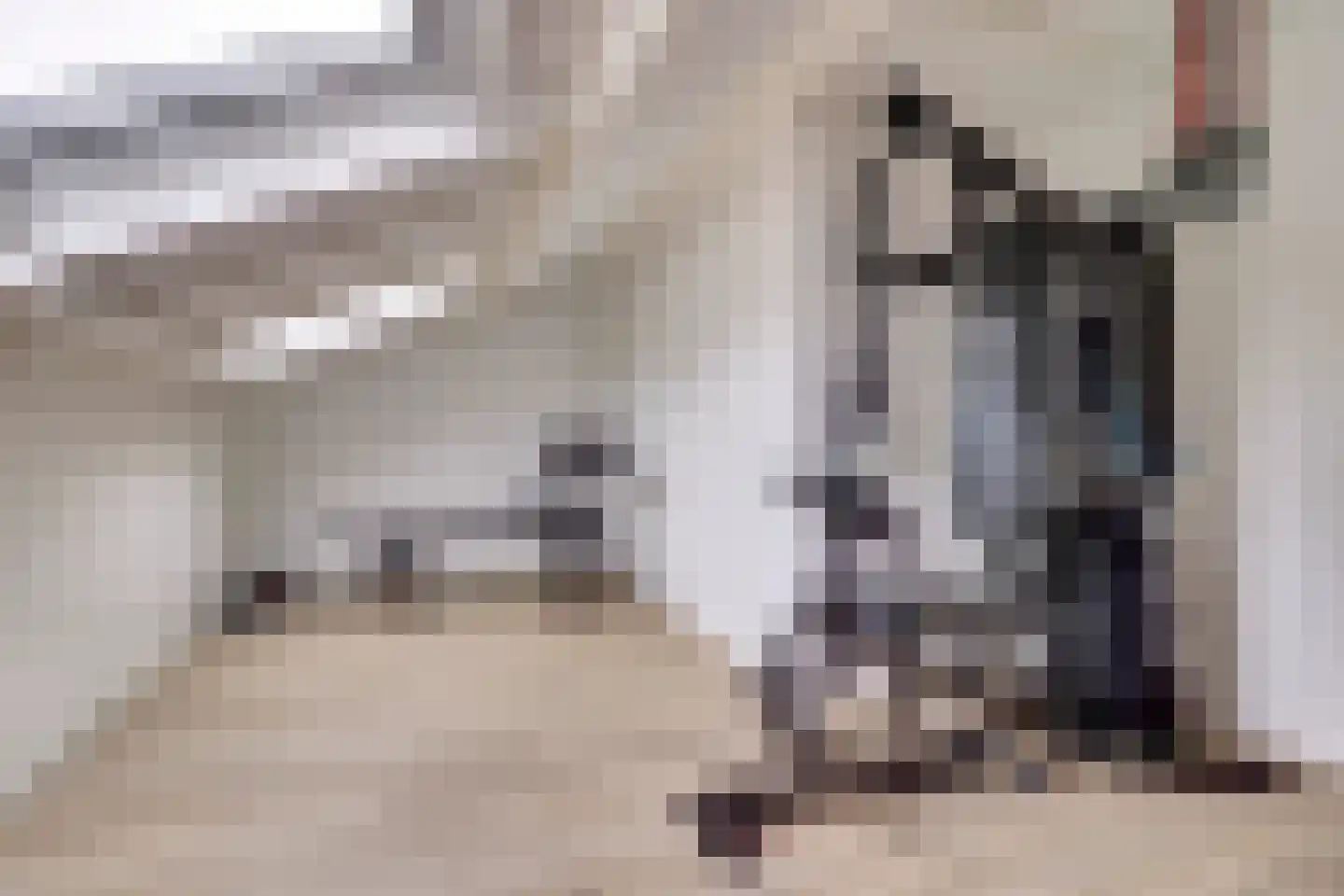 Disselsjeesdrift 2 Nieuwegein thumbnail 39
