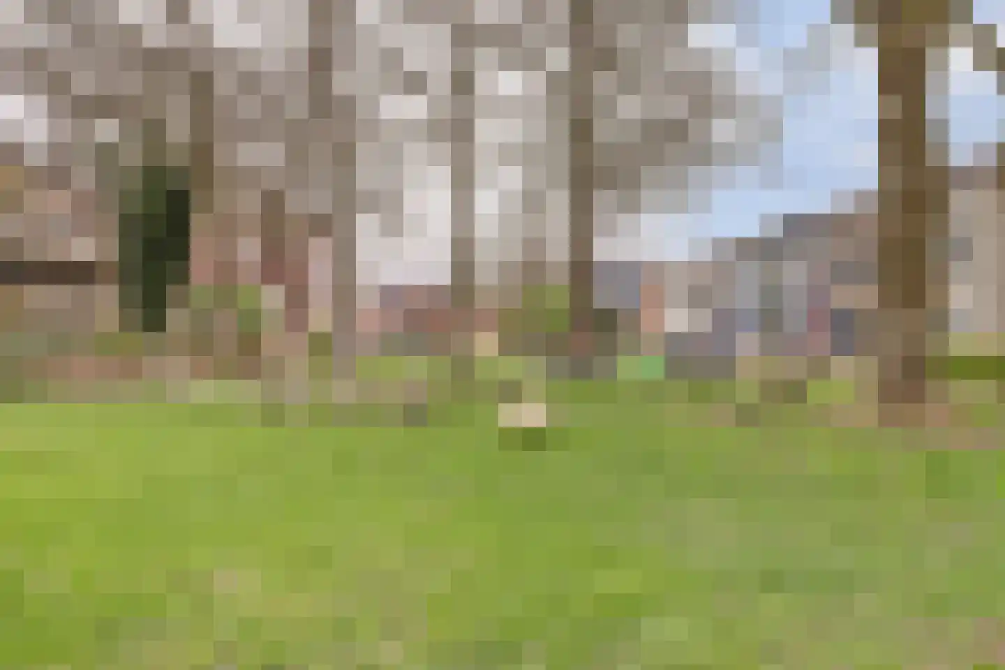 Disselsjeesdrift 2 Nieuwegein thumbnail 4