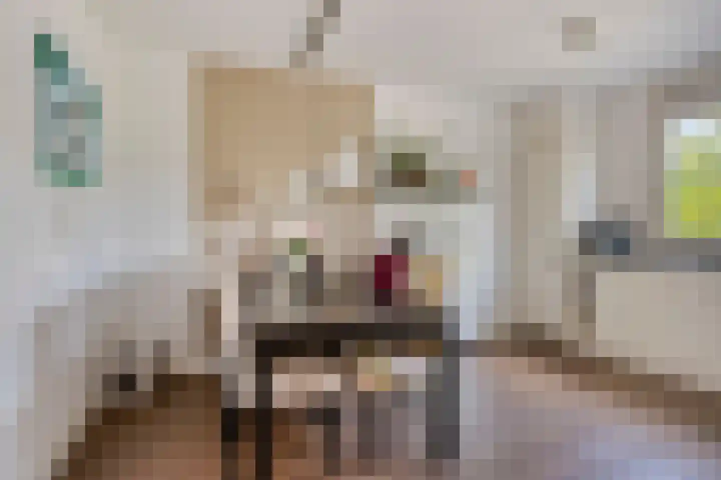 Disselstraat 3 Alkmaar thumbnail 11