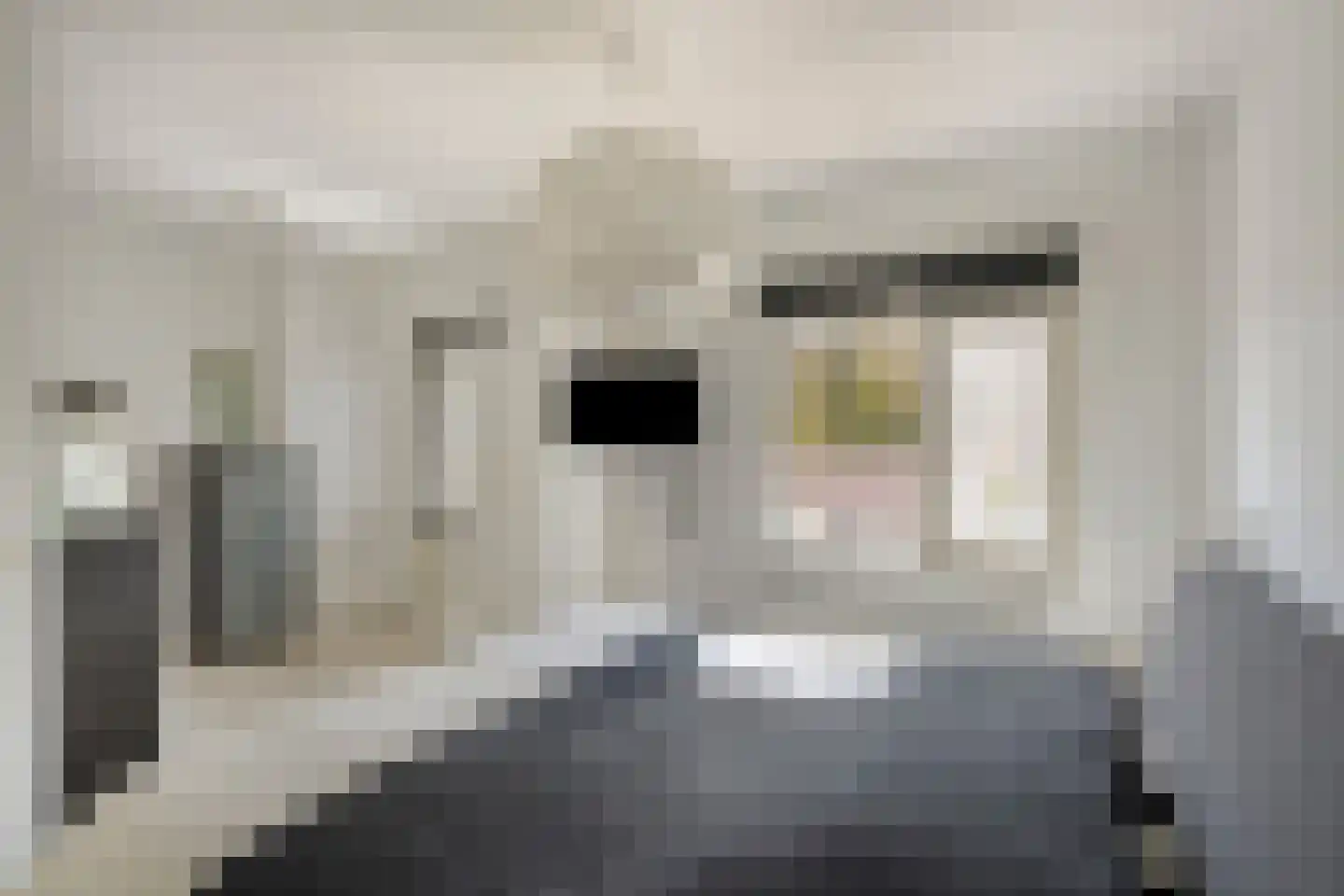 Disselstraat 3 Alkmaar thumbnail 17