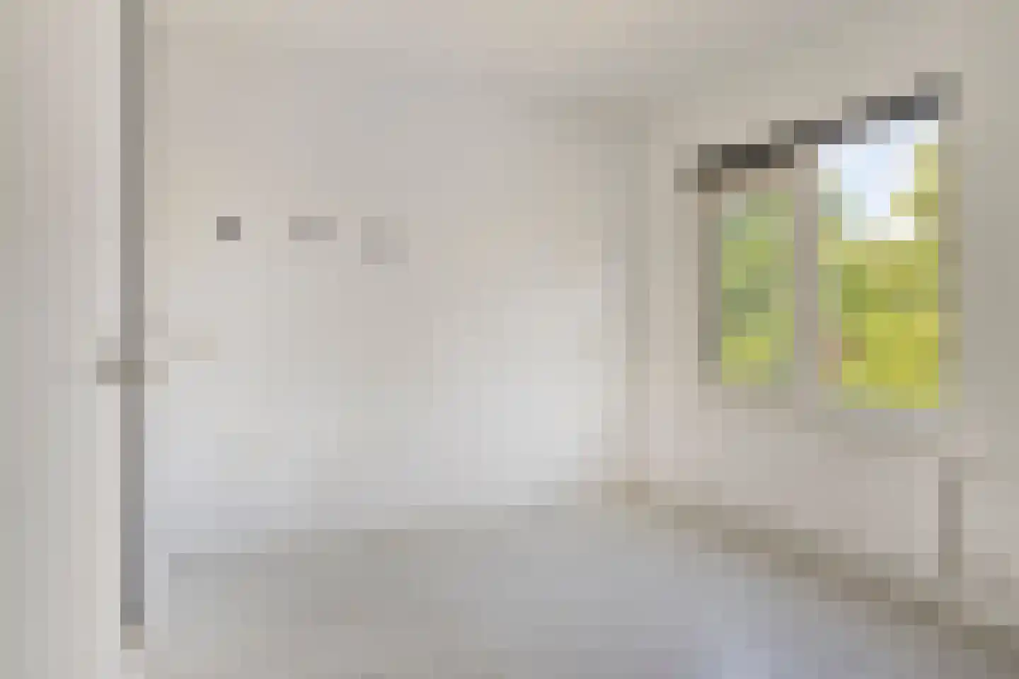 Disselstraat 3 Alkmaar thumbnail 20