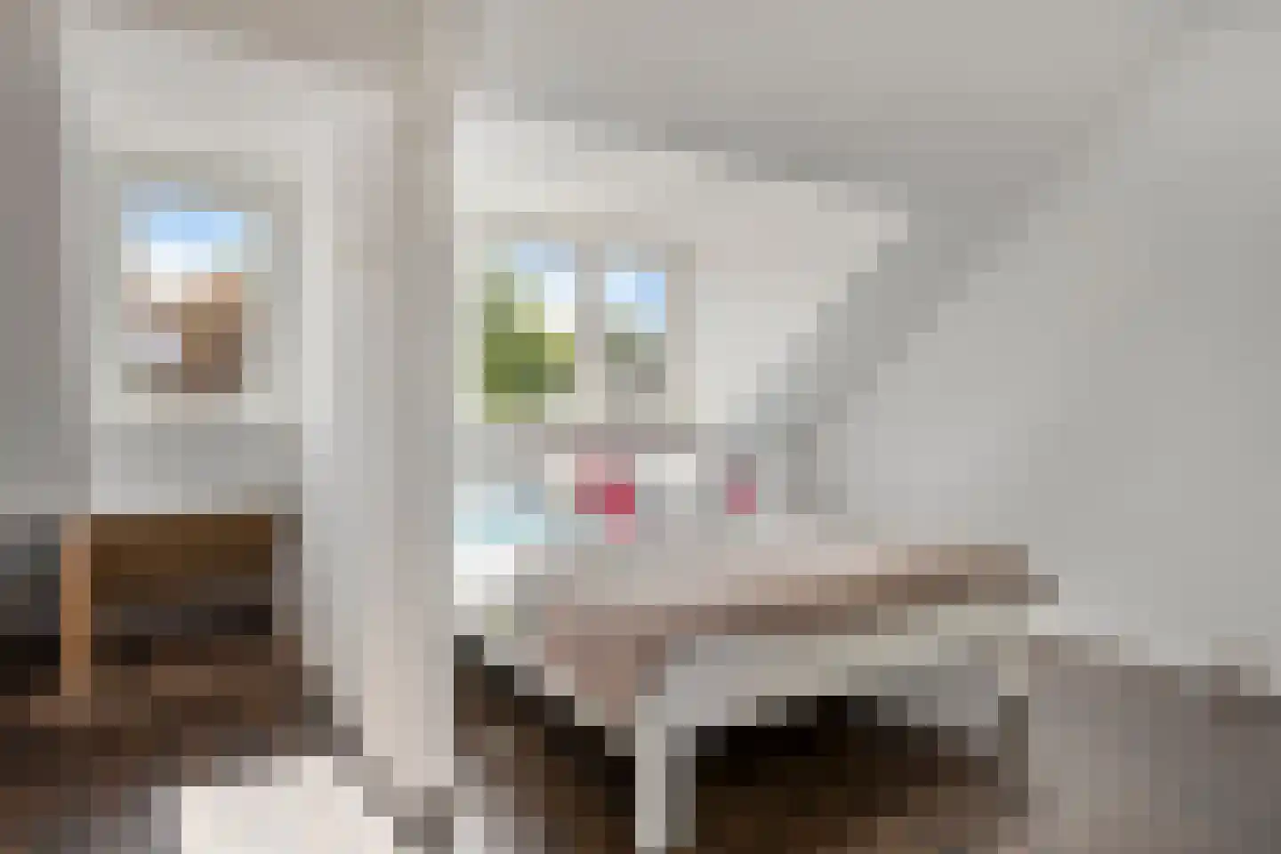 Disselstraat 3 Alkmaar thumbnail 22