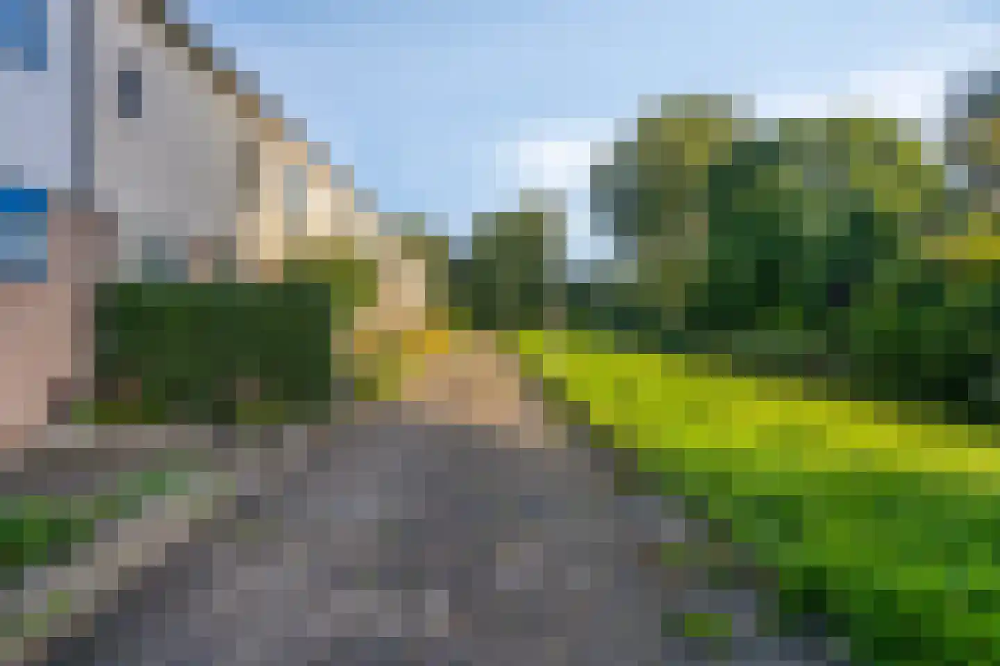 Disselstraat 3 Alkmaar thumbnail 29