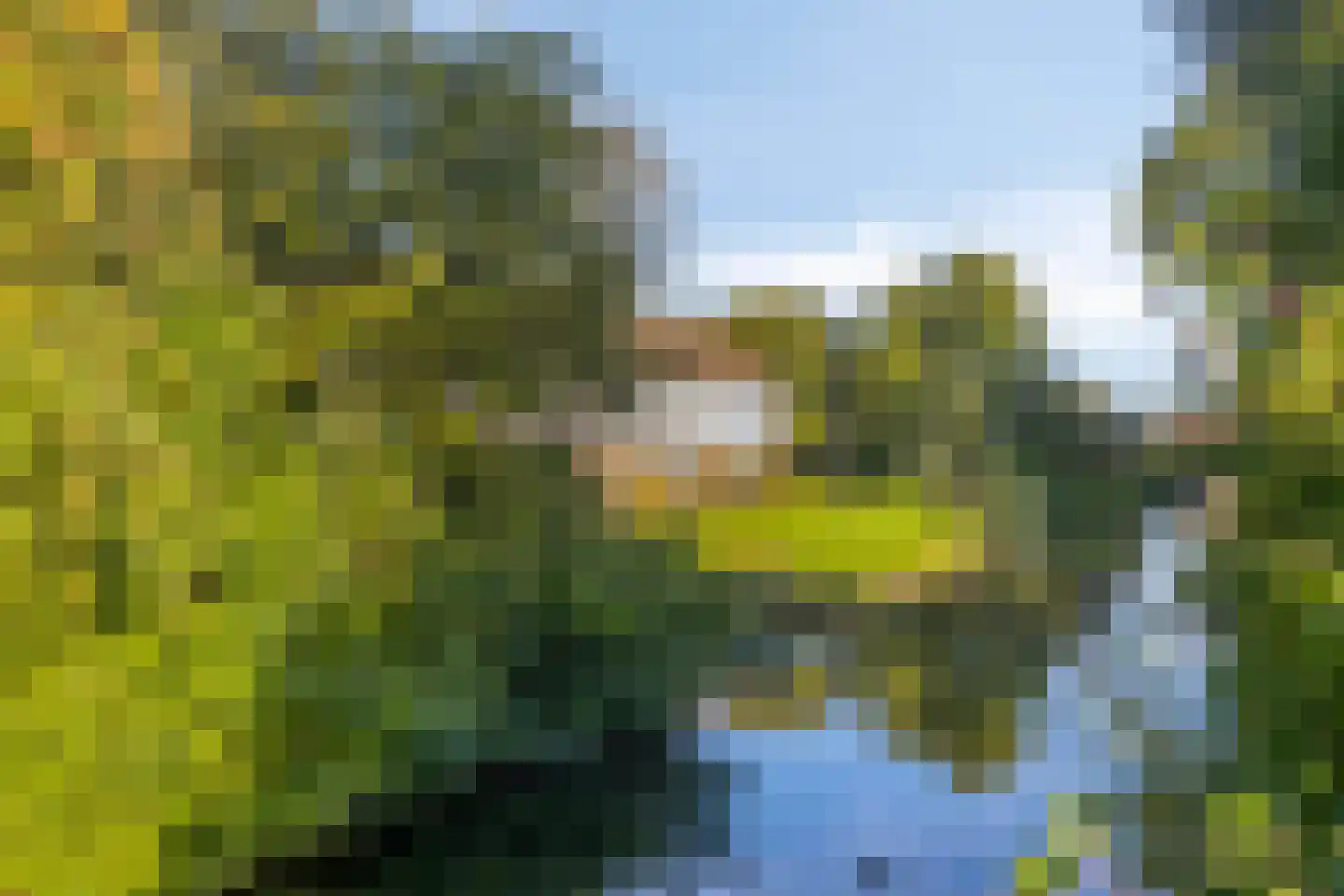 Disselstraat 3 Alkmaar thumbnail 30