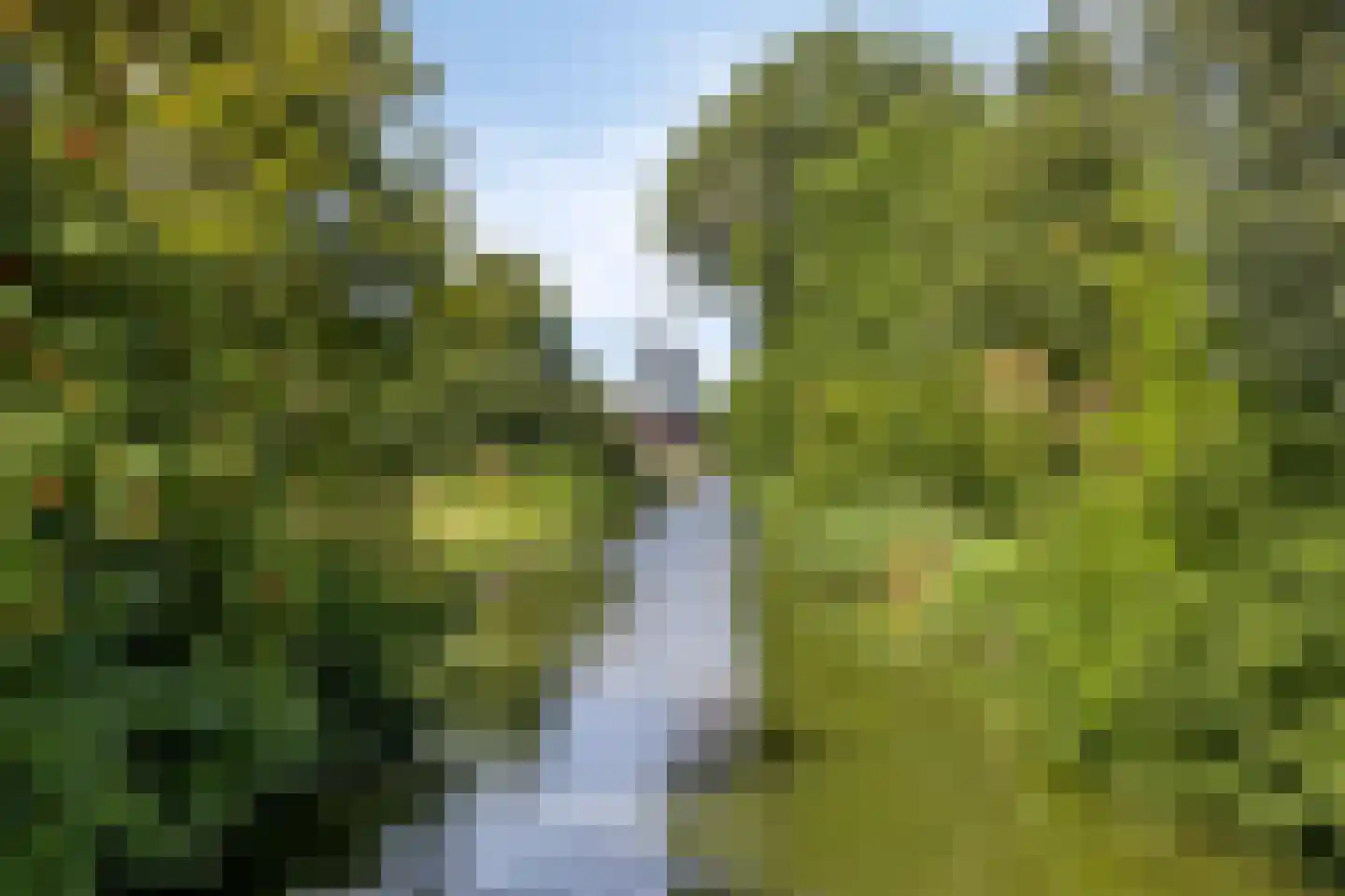 Disselstraat 3 Alkmaar thumbnail 31