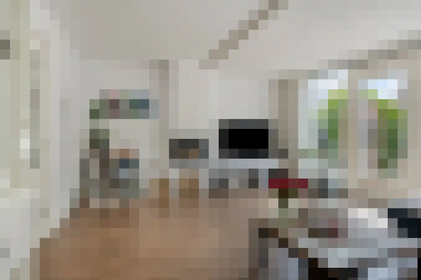 Disselstraat 3 Alkmaar thumbnail 8