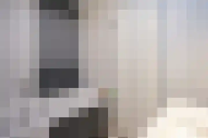 Disselstraat 3 Nijmegen thumbnail 21