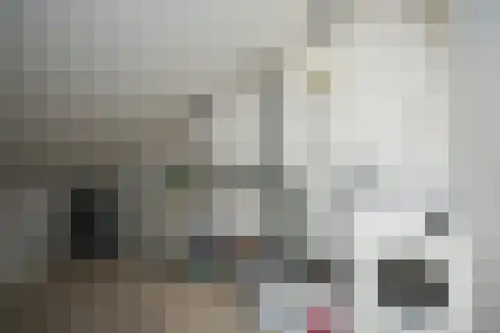 Disselstraat 3 Nijmegen thumbnail 30
