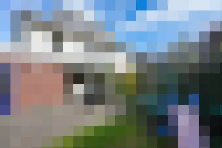 Disselstraat 3 Nijmegen thumbnail 31