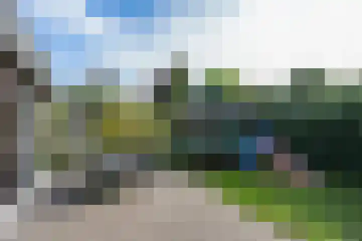 Disselstraat 3 Nijmegen thumbnail 32