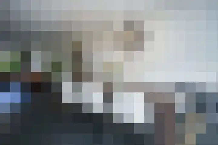 Disselstraat 3 Nijmegen thumbnail 8