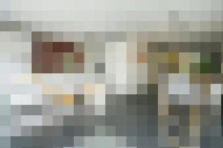 Disselstraat 3 Nijmegen thumbnail 9