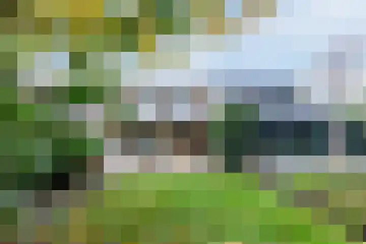 Disselsweg 19 Enter thumbnail 12