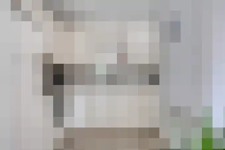 Disselsweg 2 b Enter thumbnail 10