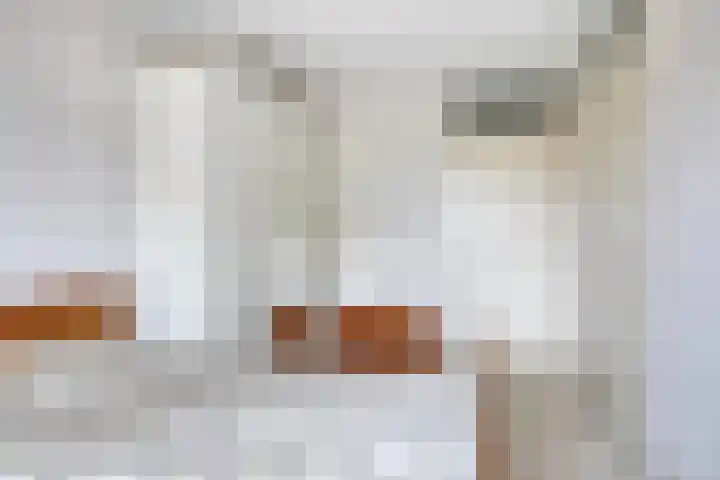 Disselsweg 2 b Enter thumbnail 12