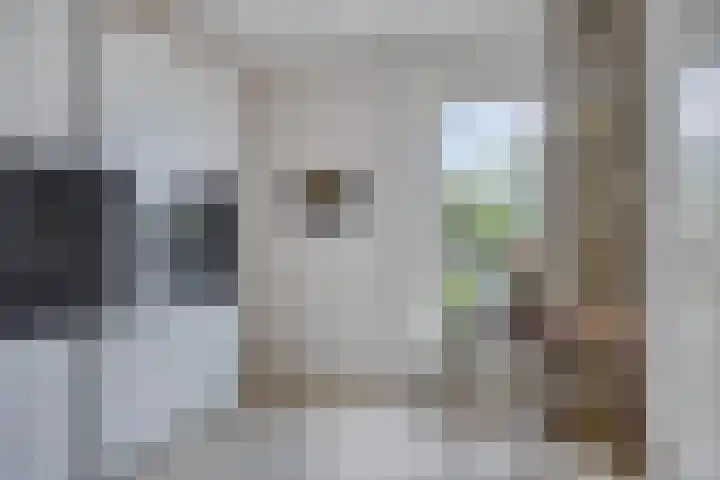 Disselsweg 2 b Enter thumbnail 15