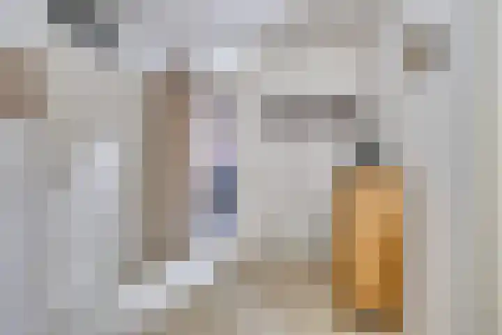 Disselsweg 2 b Enter thumbnail 19