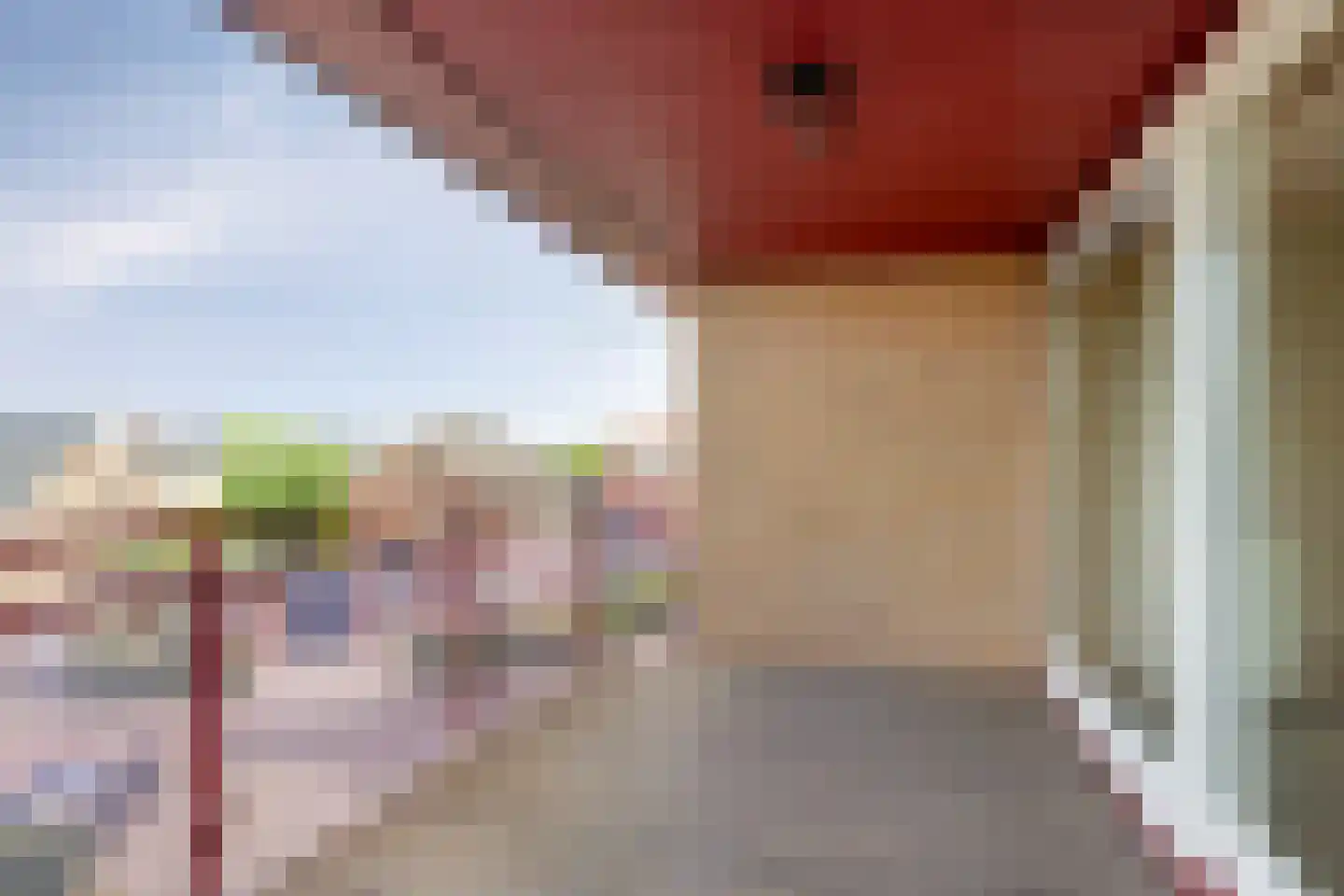 Disselsweg 2 g Enter thumbnail 16