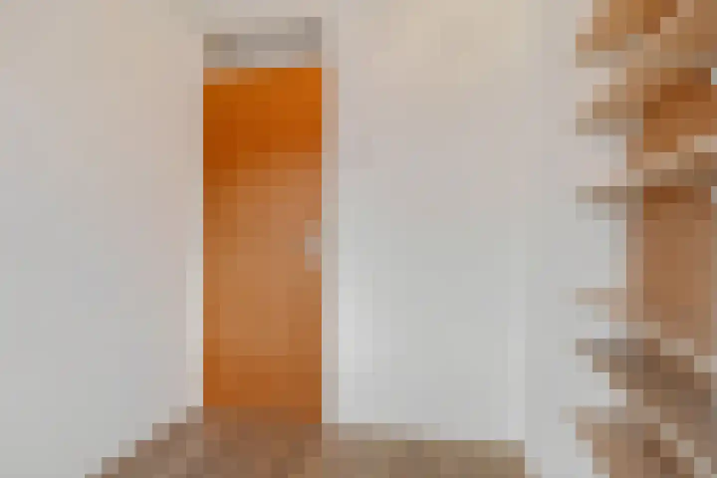Disselweg 22 Huizen thumbnail 32