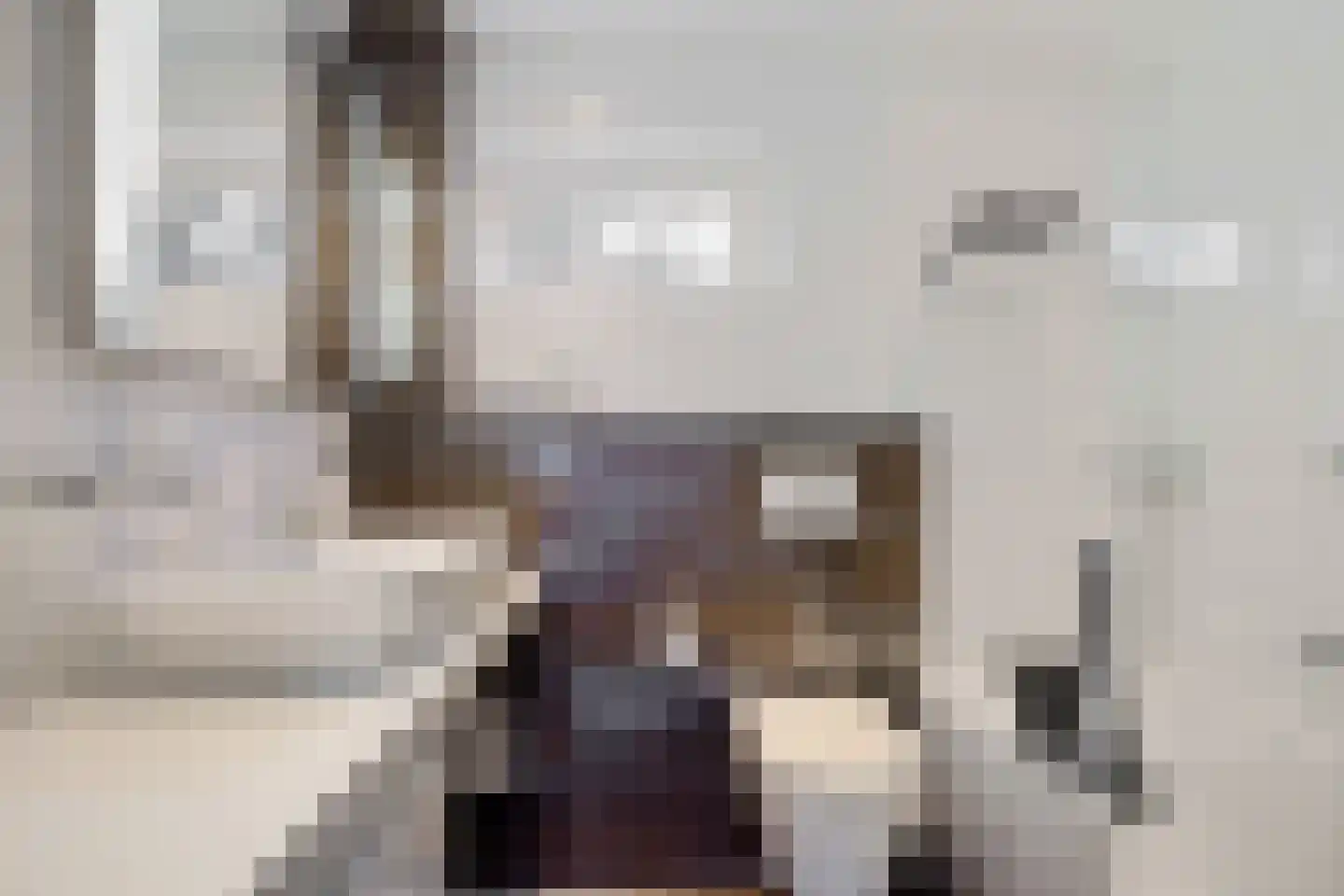 Disselweg 22 Huizen thumbnail 33