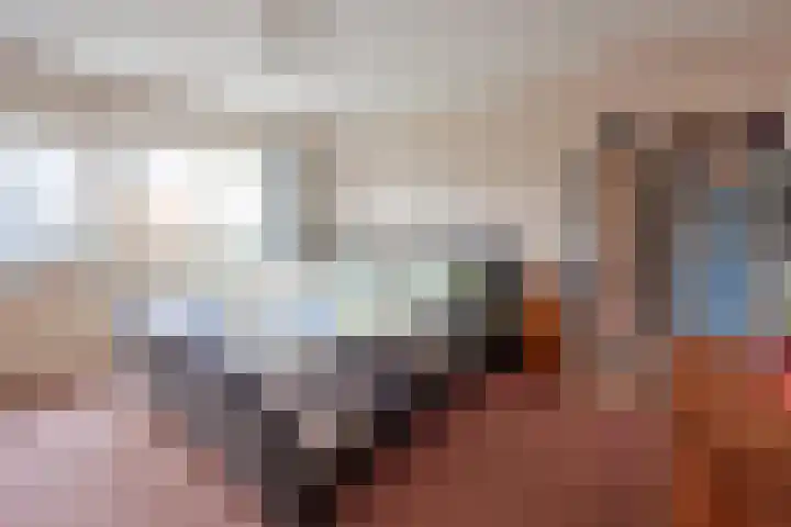 Disselweg 6 Huizen thumbnail 13