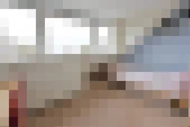 Disselweg 6 Huizen thumbnail 16