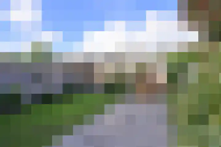 Disselweg 6 Huizen thumbnail 19